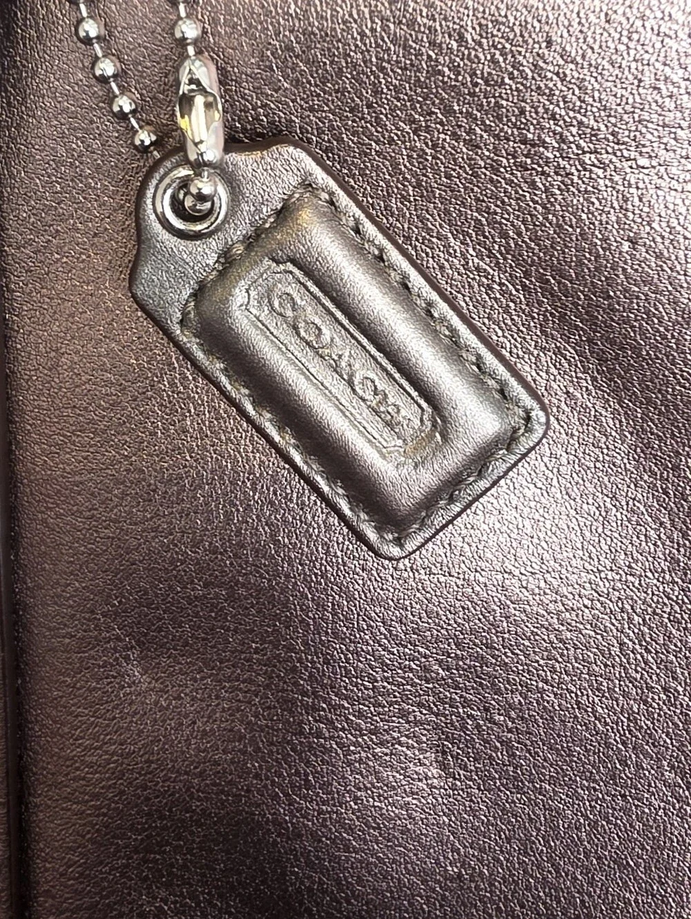 Coach Metallic Wristlet